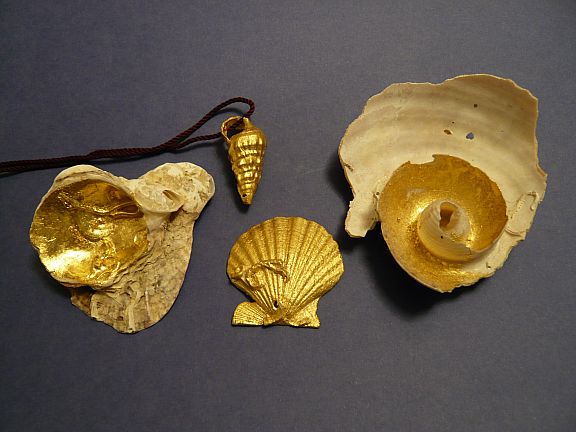 Muscheln 014