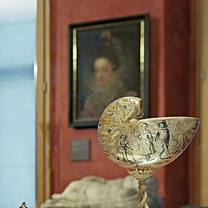 Wunderkammer