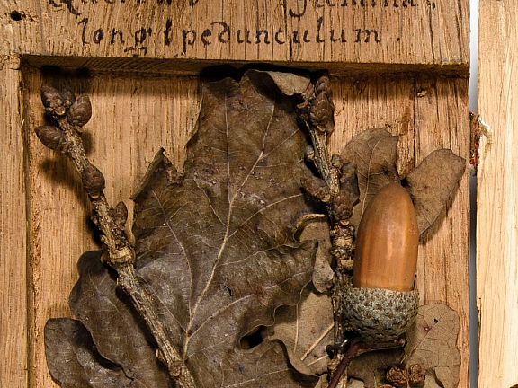 Holzbibliothek