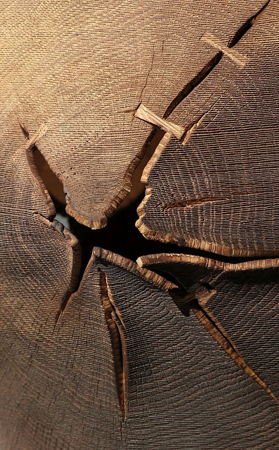Holz gesprungen