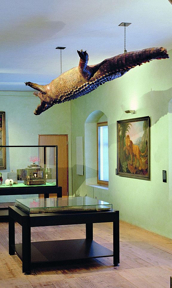 Landshut Krokodil