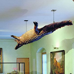 Landshut Krokodil
