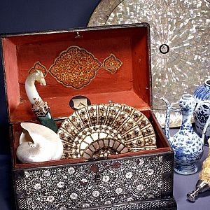 Landshut Wunderkammer Muscheln