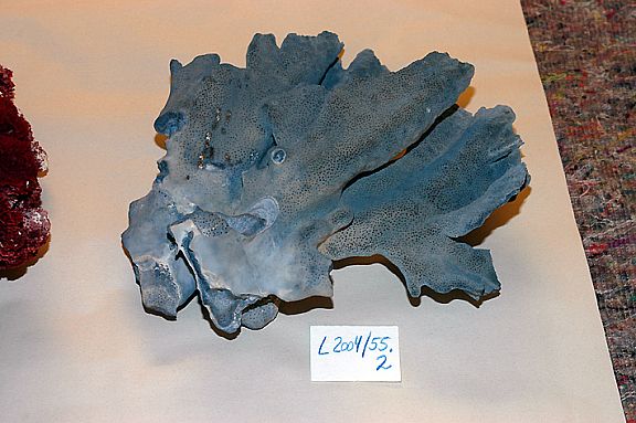 D20046