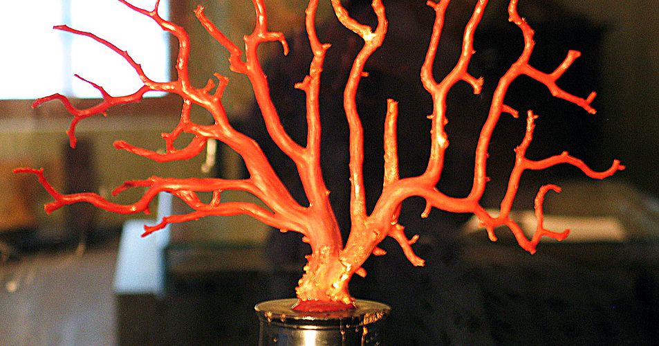 Korallenbaum (rot) auf schwarzem Holzsockel Bayerisches Nationalmuseum