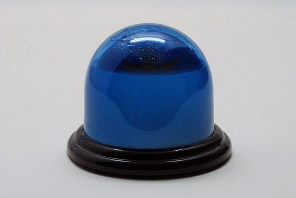 D81157