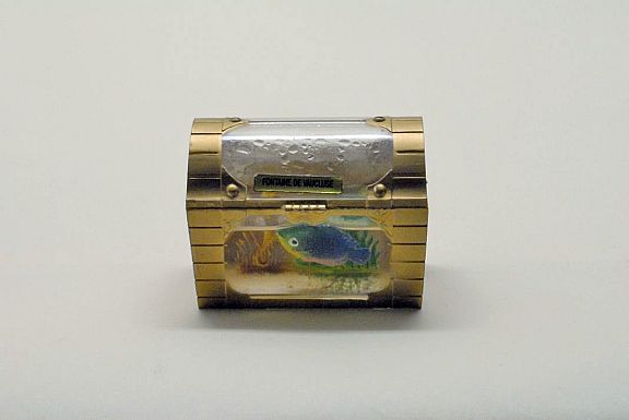 D81250