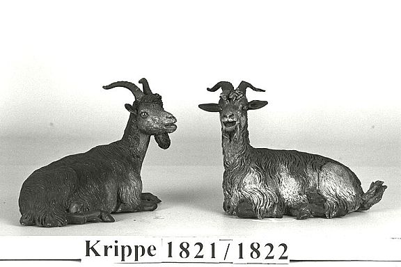 D7151