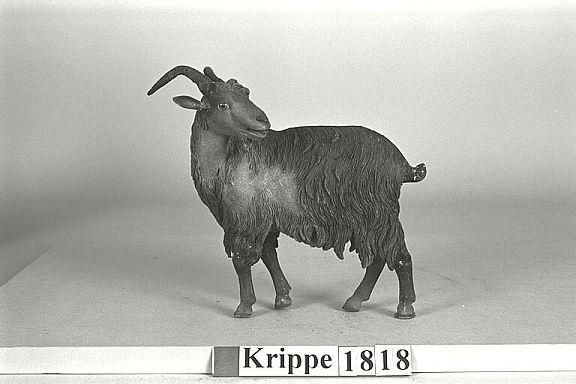 D8596