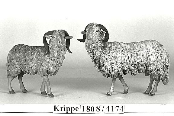D7155