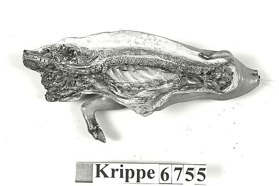 D8385