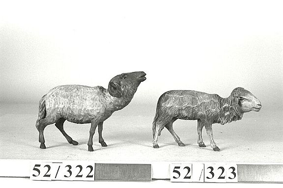 D8296