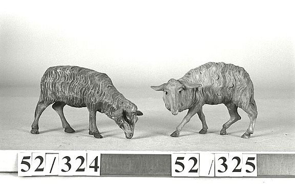 D8297