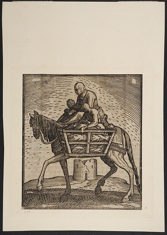 D252407