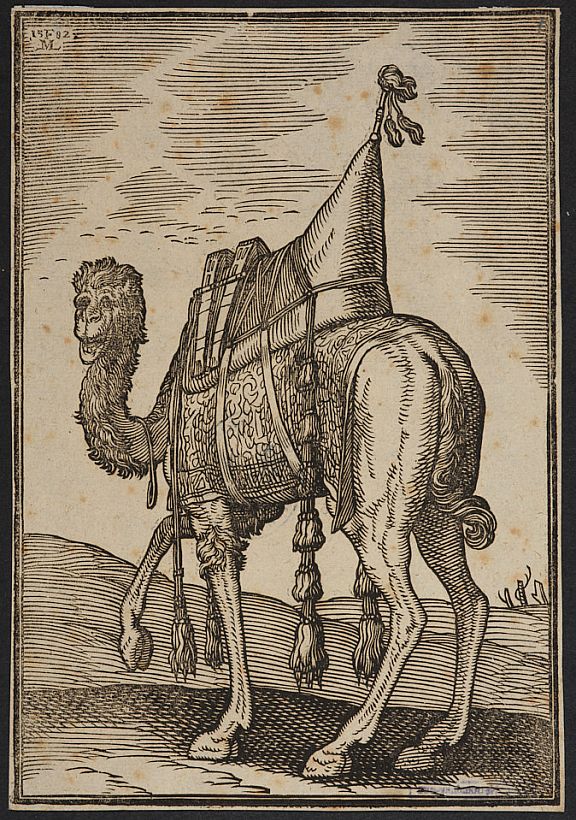 D252423