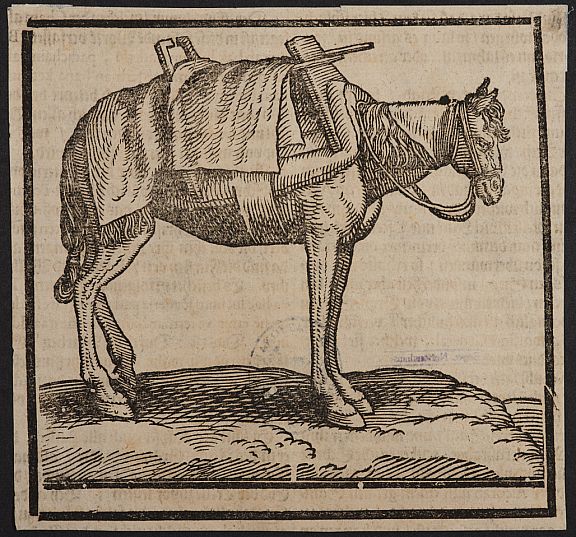 D252451