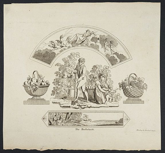 D253498