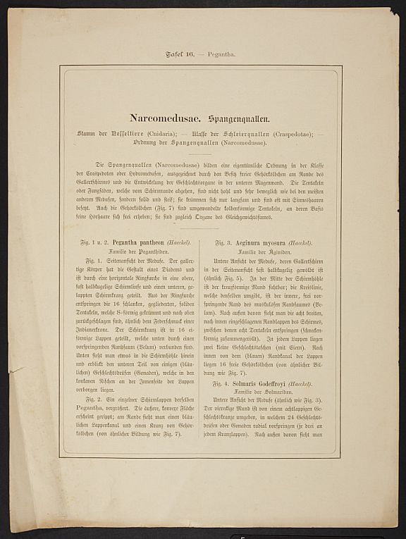 D253659