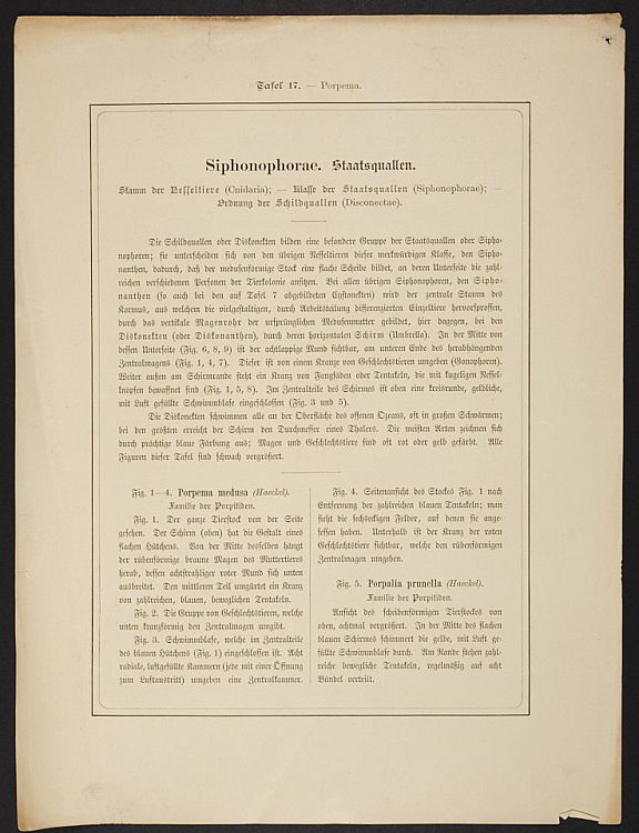 D253661