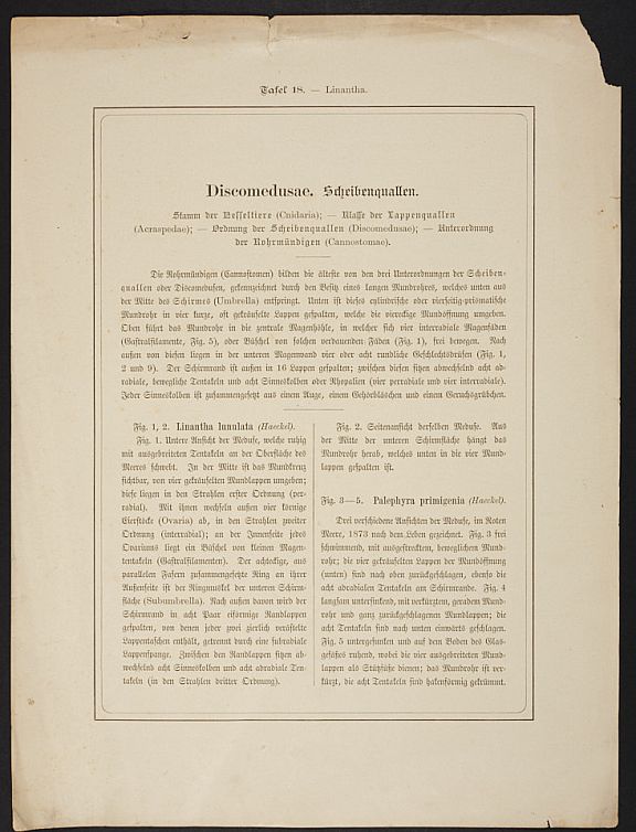 D253665