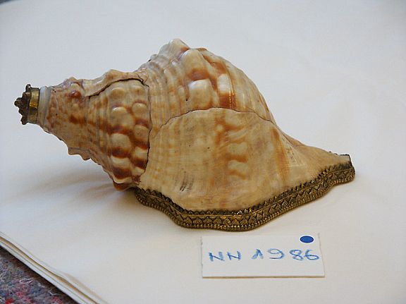 D20060