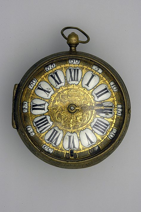 D20268