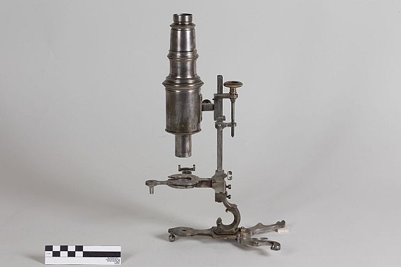 D213341
