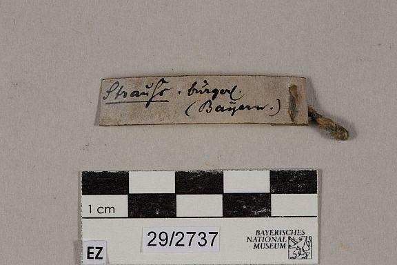 D225298