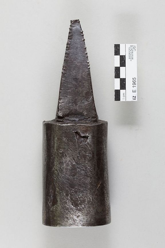 D225496