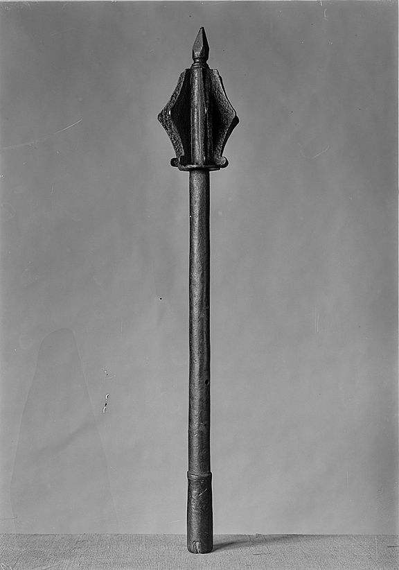 D219929