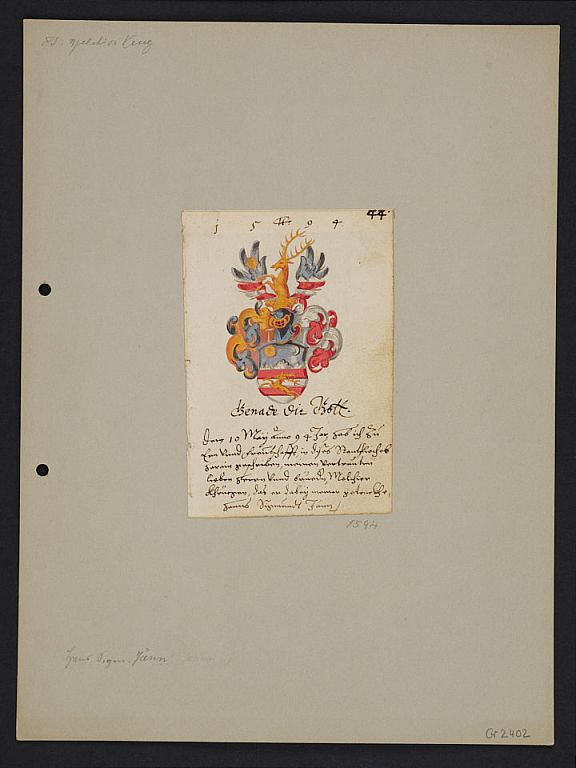 D261252
