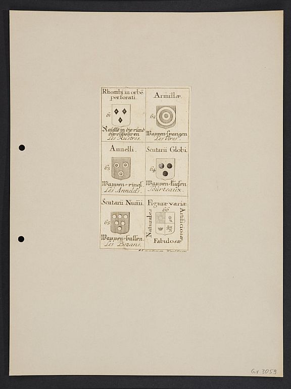 D261981
