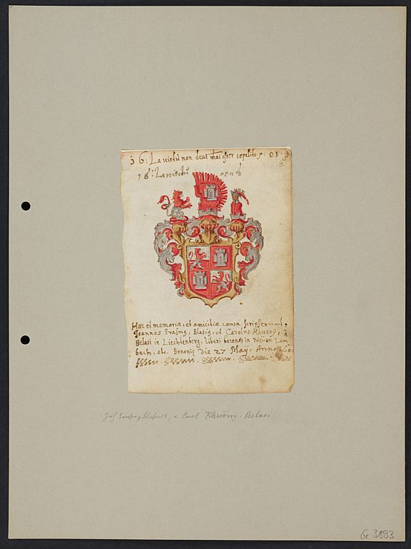 D262877
