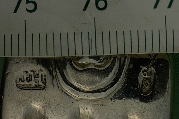 D55096