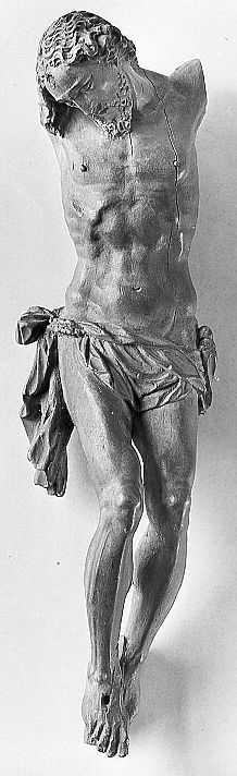 D1629