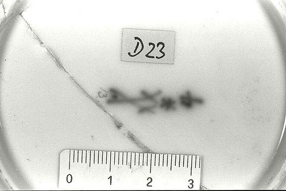 D12640