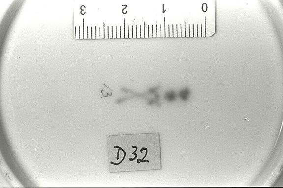 D12642