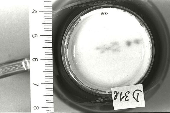 D12652