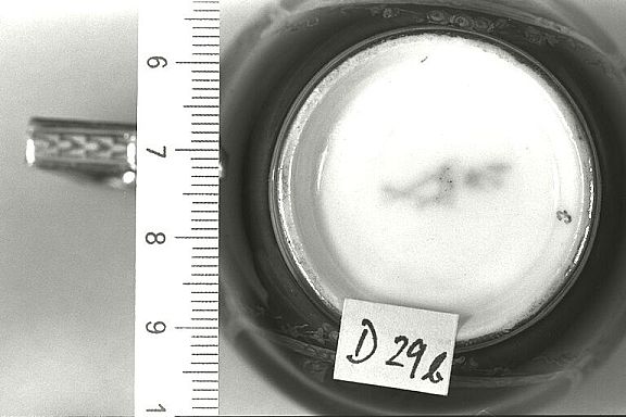 D12658