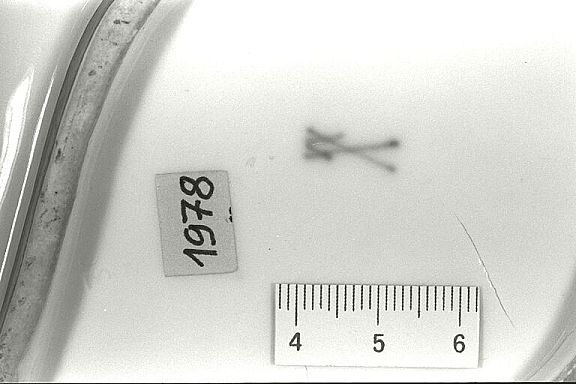 D12871