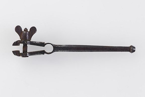 D173446