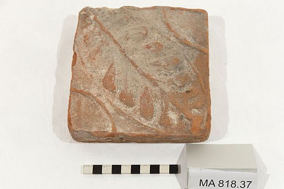 D223372