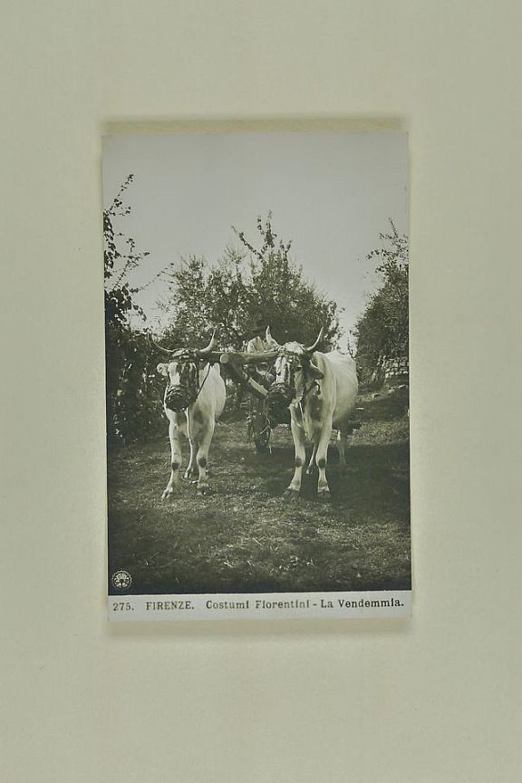 D204218