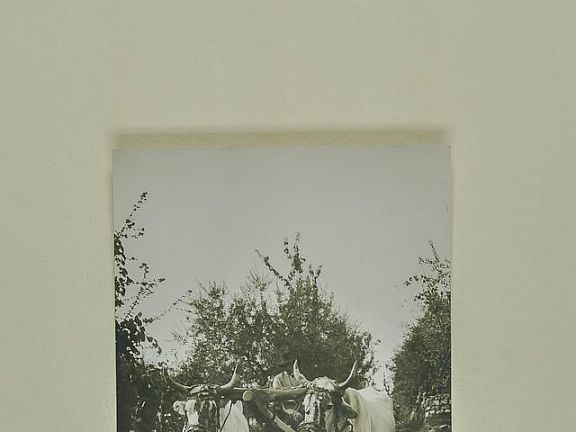 D204218
