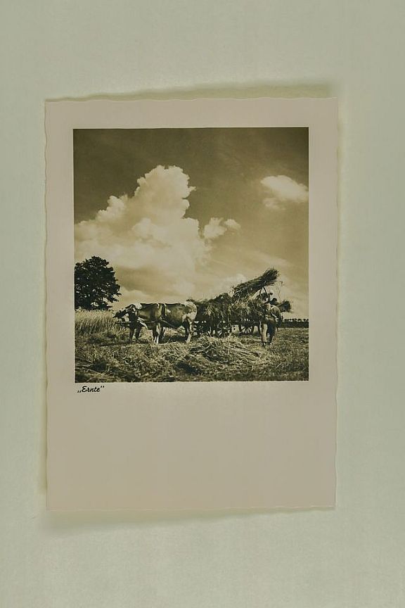 D204222