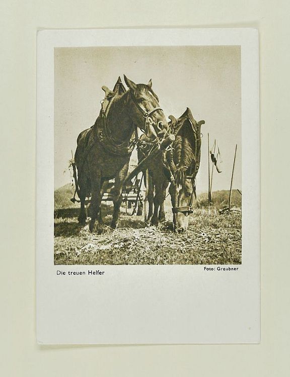 D204226