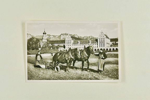 D204232