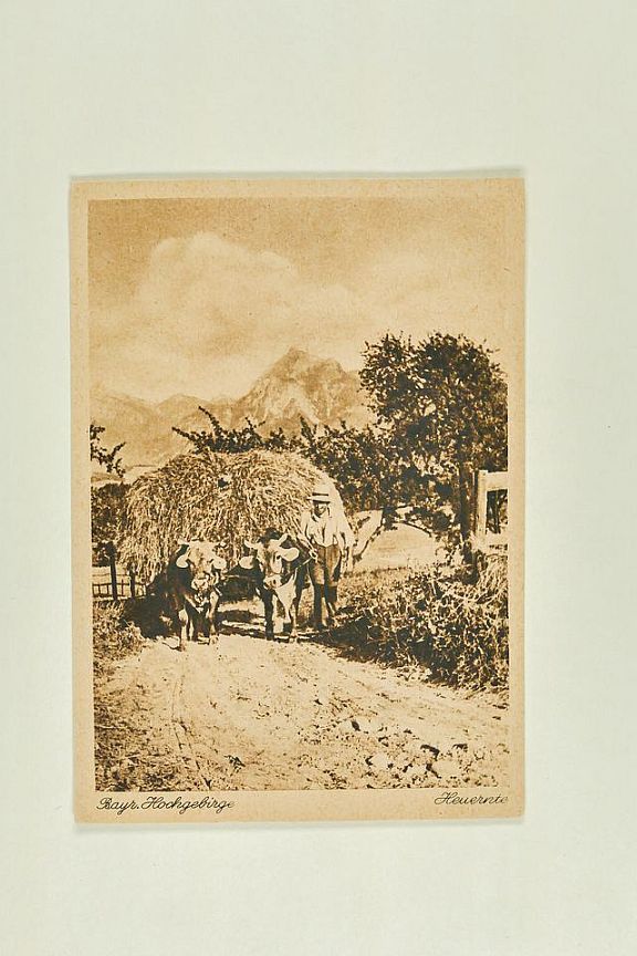 D204238