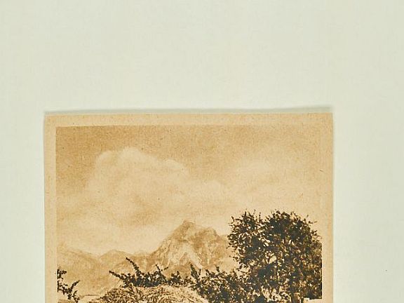 D204238