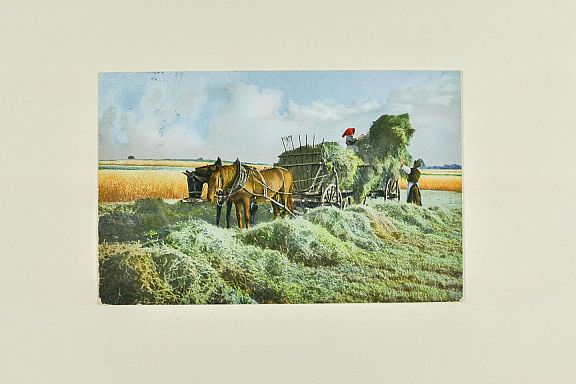 D204242